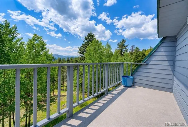 1447 Coyote Circle Black Hawk, CO 80422