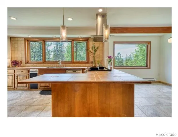 1447 Coyote Circle Black Hawk, CO 80422