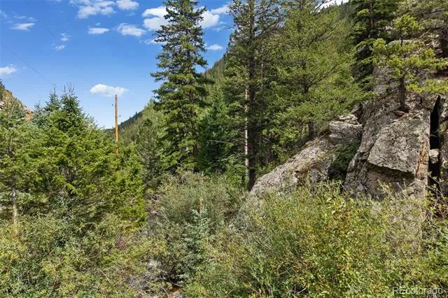 4955 Colorado 103 Idaho Springs, CO 80452