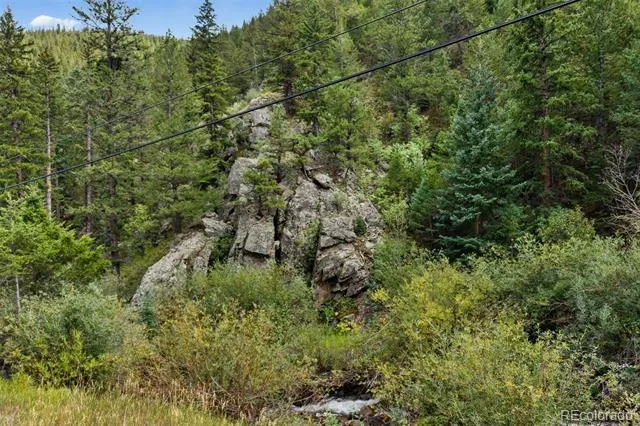 4955 Colorado 103 Idaho Springs, CO 80452