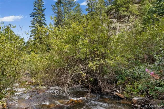 4955 Colorado 103 Idaho Springs, CO 80452