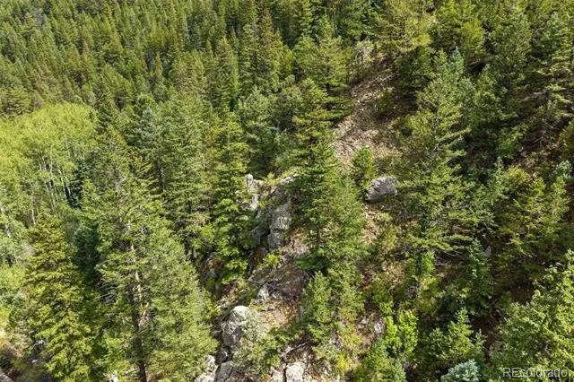 4955 Colorado 103 Idaho Springs, CO 80452