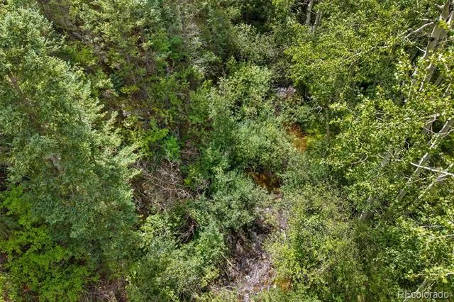 4955 Colorado 103 Idaho Springs, CO 80452