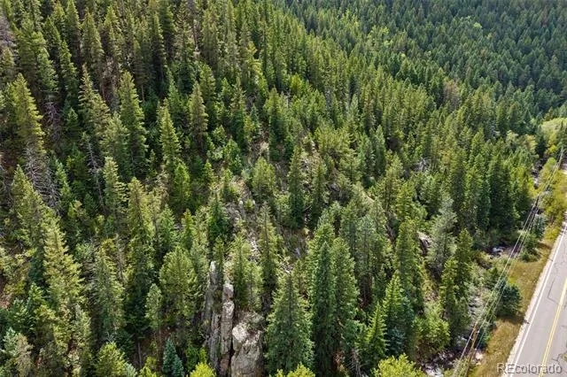 4955 Colorado 103 Idaho Springs, CO 80452