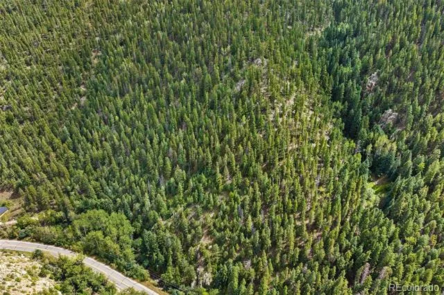 4955 Colorado 103 Idaho Springs, CO 80452