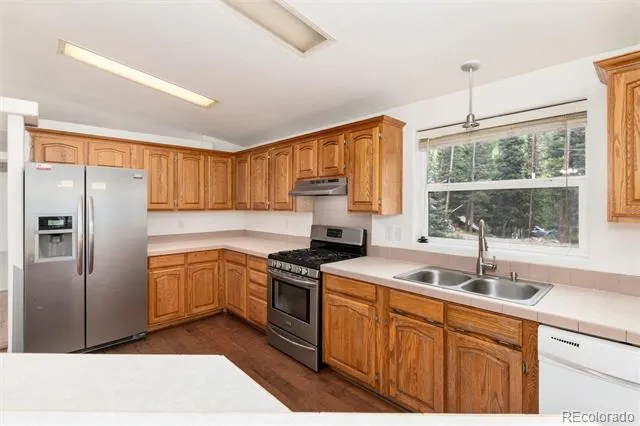 865 Silver Creek Road Idaho Springs, CO 80452