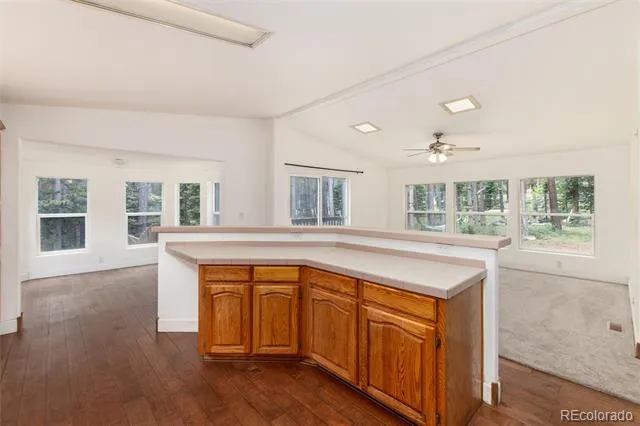 865 Silver Creek Road Idaho Springs, CO 80452