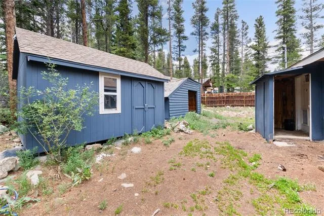 865 Silver Creek Road Idaho Springs, CO 80452