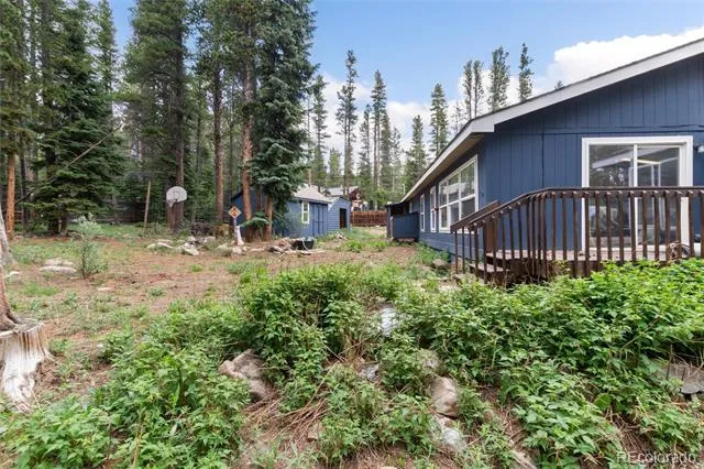 865 Silver Creek Road Idaho Springs, CO 80452