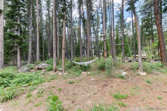 865 Silver Creek Road Idaho Springs, CO 80452