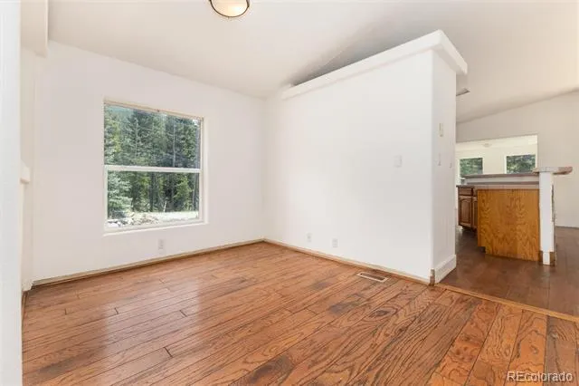865 Silver Creek Road Idaho Springs, CO 80452