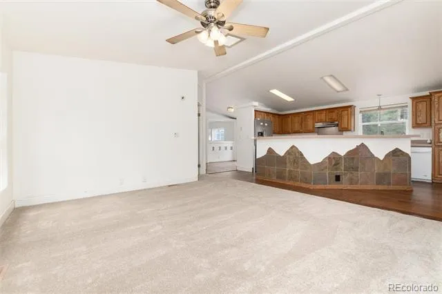 865 Silver Creek Road Idaho Springs, CO 80452