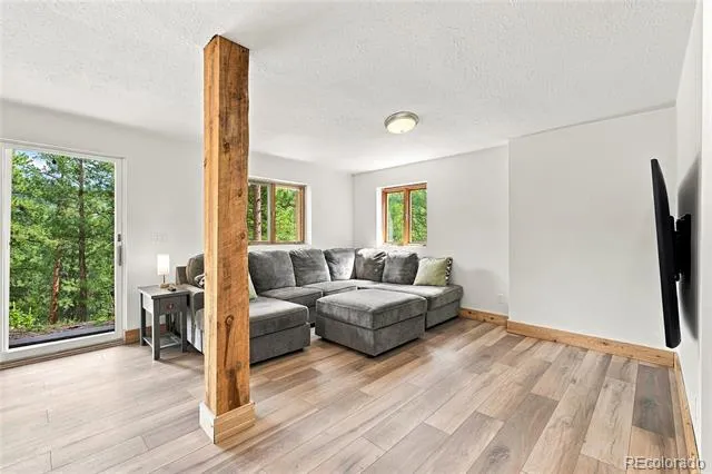 14988 S Wandcrest Drive Pine, CO 80470