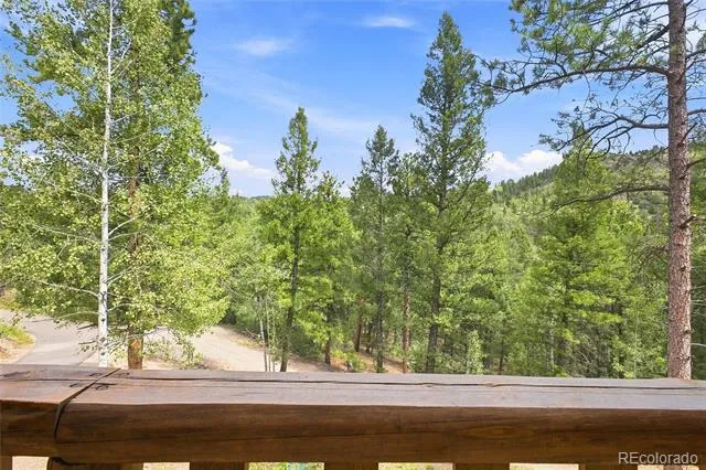 14988 S Wandcrest Drive Pine, CO 80470