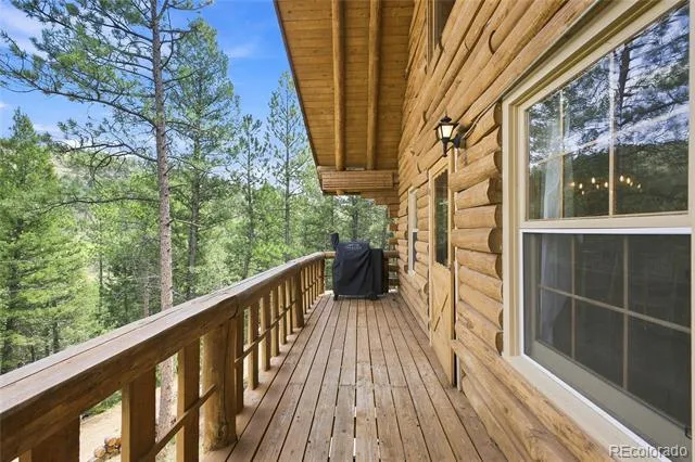 14988 S Wandcrest Drive Pine, CO 80470