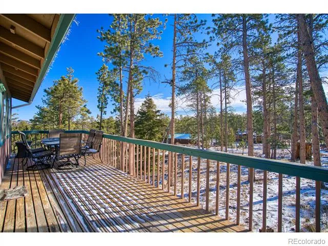 231 Snake Lake Drive Red Feather Lakes, CO 80545