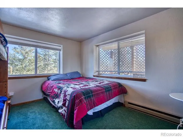 231 Snake Lake Drive Red Feather Lakes, CO 80545