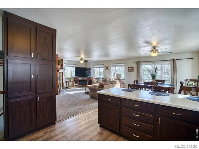 231 Snake Lake Drive Red Feather Lakes, CO 80545