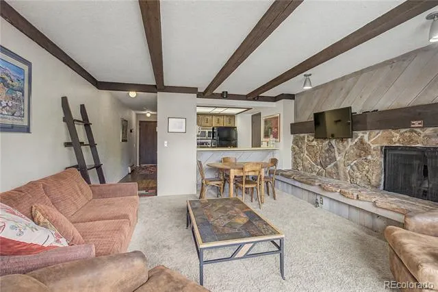 107 Harris Street #209 Breckenridge, CO 80424