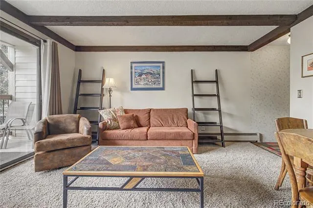 107 Harris Street #209 Breckenridge, CO 80424