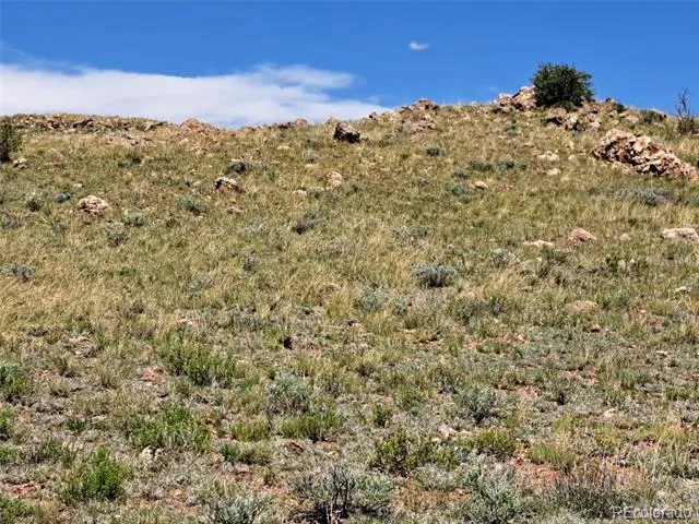 6630 Atoka Road Hartsel, CO 80449