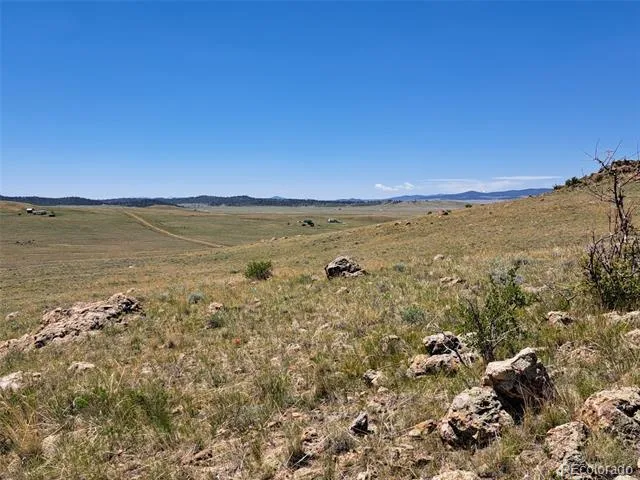 6630 Atoka Road Hartsel, CO 80449
