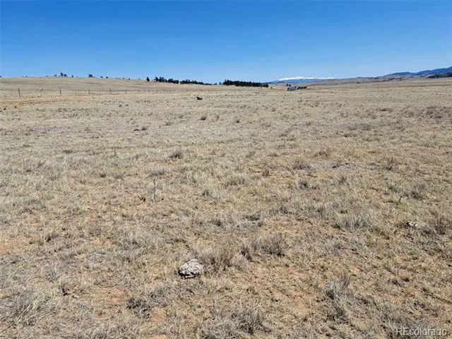 00 Chickasaw Road Hartsel, CO 80449