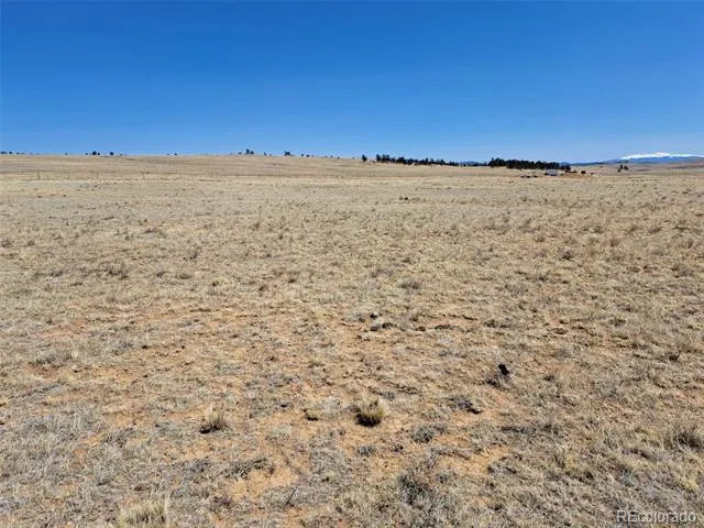 00 Chickasaw Road Hartsel, CO 80449