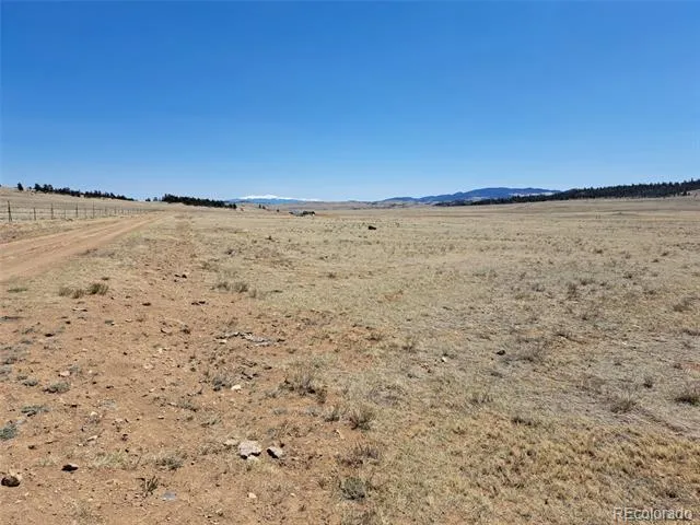 00 Chickasaw Road Hartsel, CO 80449