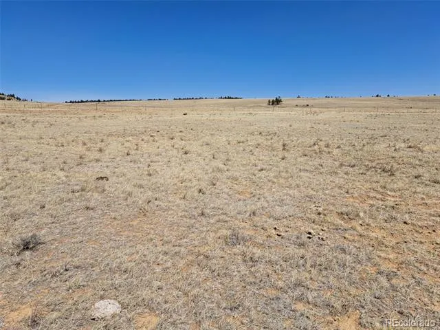 00 Chickasaw Road Hartsel, CO 80449