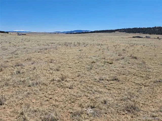 00 Chickasaw Road Hartsel, CO 80449