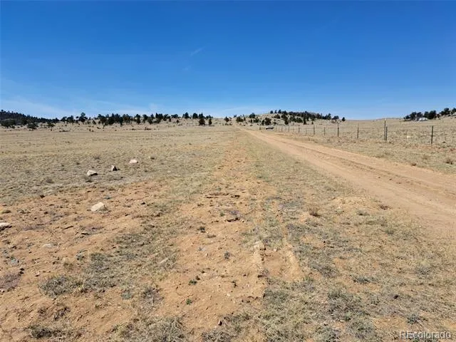 00 Chickasaw Road Hartsel, CO 80449