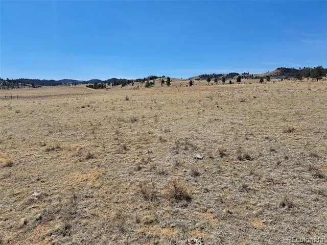 00 Chickasaw Road Hartsel, CO 80449