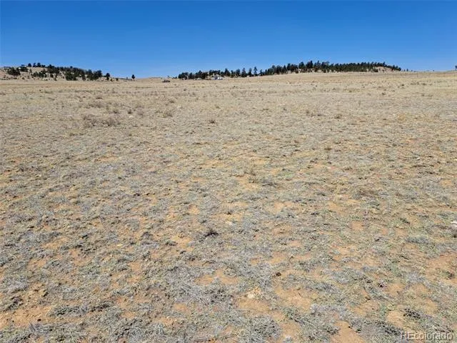 00 Chickasaw Road Hartsel, CO 80449