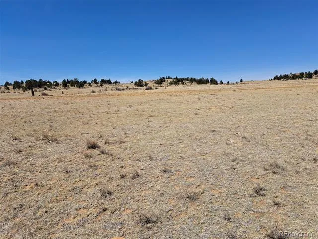 00 Chickasaw Road Hartsel, CO 80449
