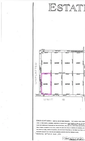 00 Chickasaw Road Hartsel, CO 80449