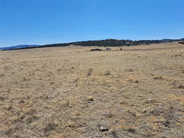 00 Chickasaw Road Hartsel, CO 80449