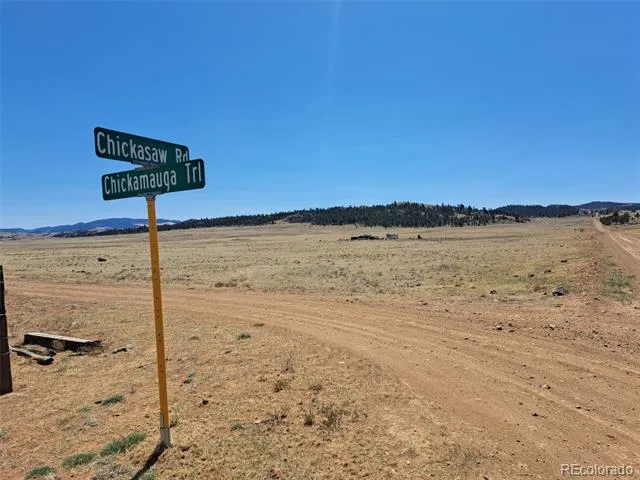 00 Chickasaw Road Hartsel, CO 80449