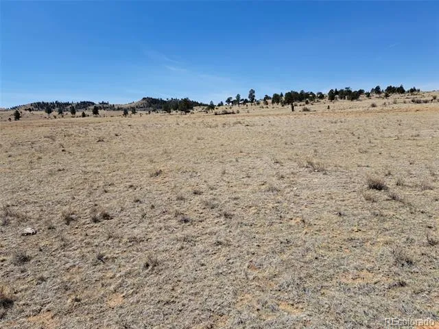 00 Chickasaw Road Hartsel, CO 80449
