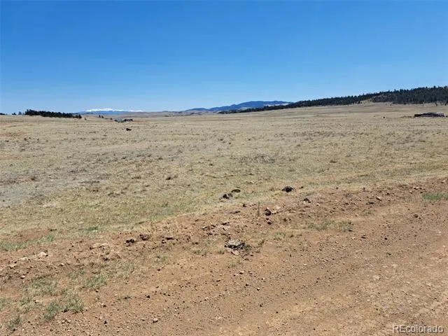 00 Chickasaw Road Hartsel, CO 80449