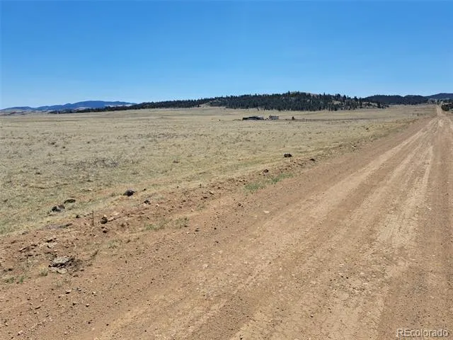 00 Chickasaw Road Hartsel, CO 80449