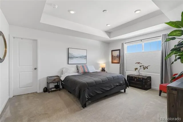 9090 Franconia Court Parker, CO 80134