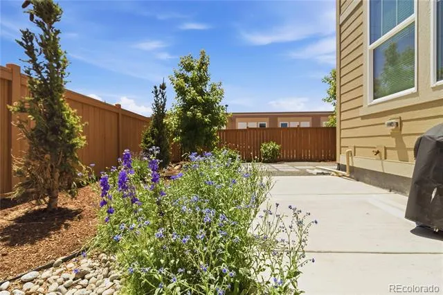 9090 Franconia Court Parker, CO 80134