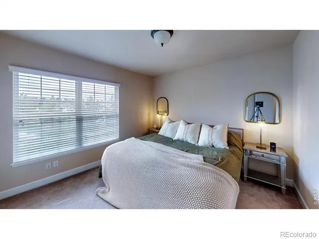 9516 Shenstone Drive Parker, CO 80134