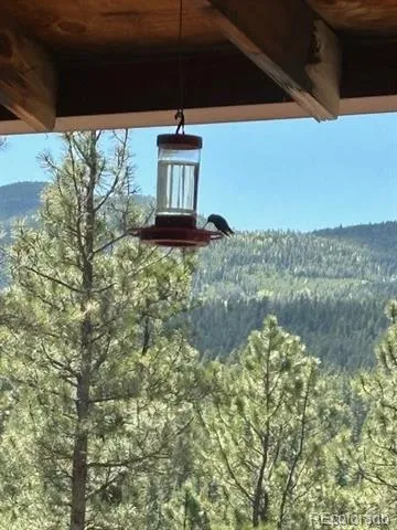 34 Normandy Road Evergreen, CO 80439