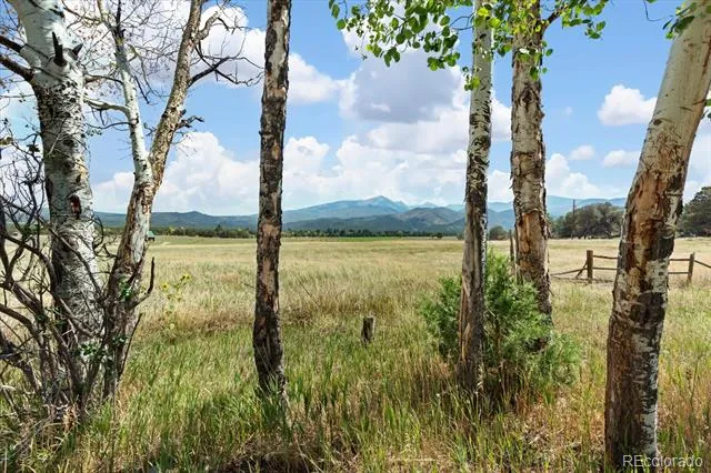 479 Meadow Drive Coaldale, CO 81222
