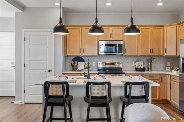 336 Bersshine Court Watkins, CO 80137