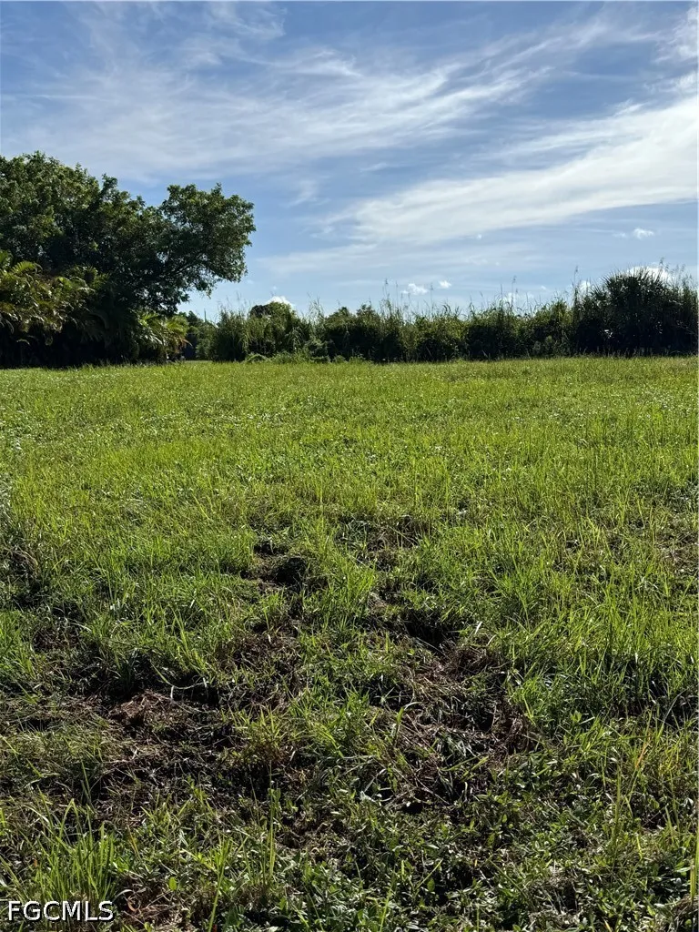 NW 41st Lane Cape Coral, FL 33993