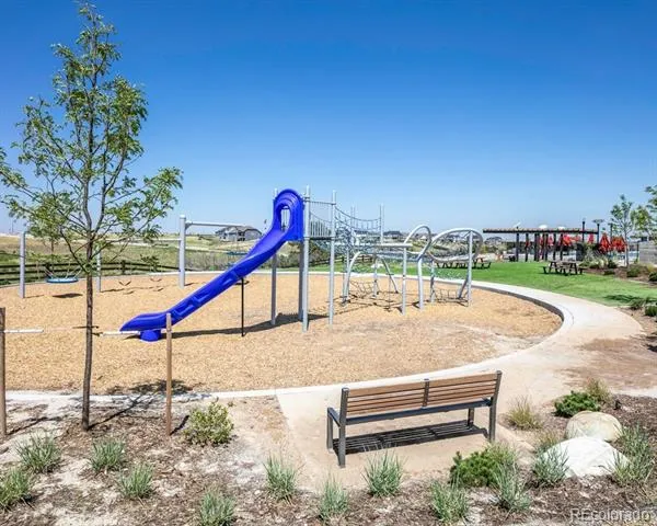 4207 Canister Point Castle Rock, CO 80108