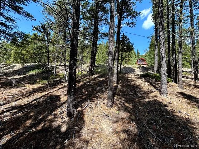 230 Harris Drive Idaho Springs, CO 80452